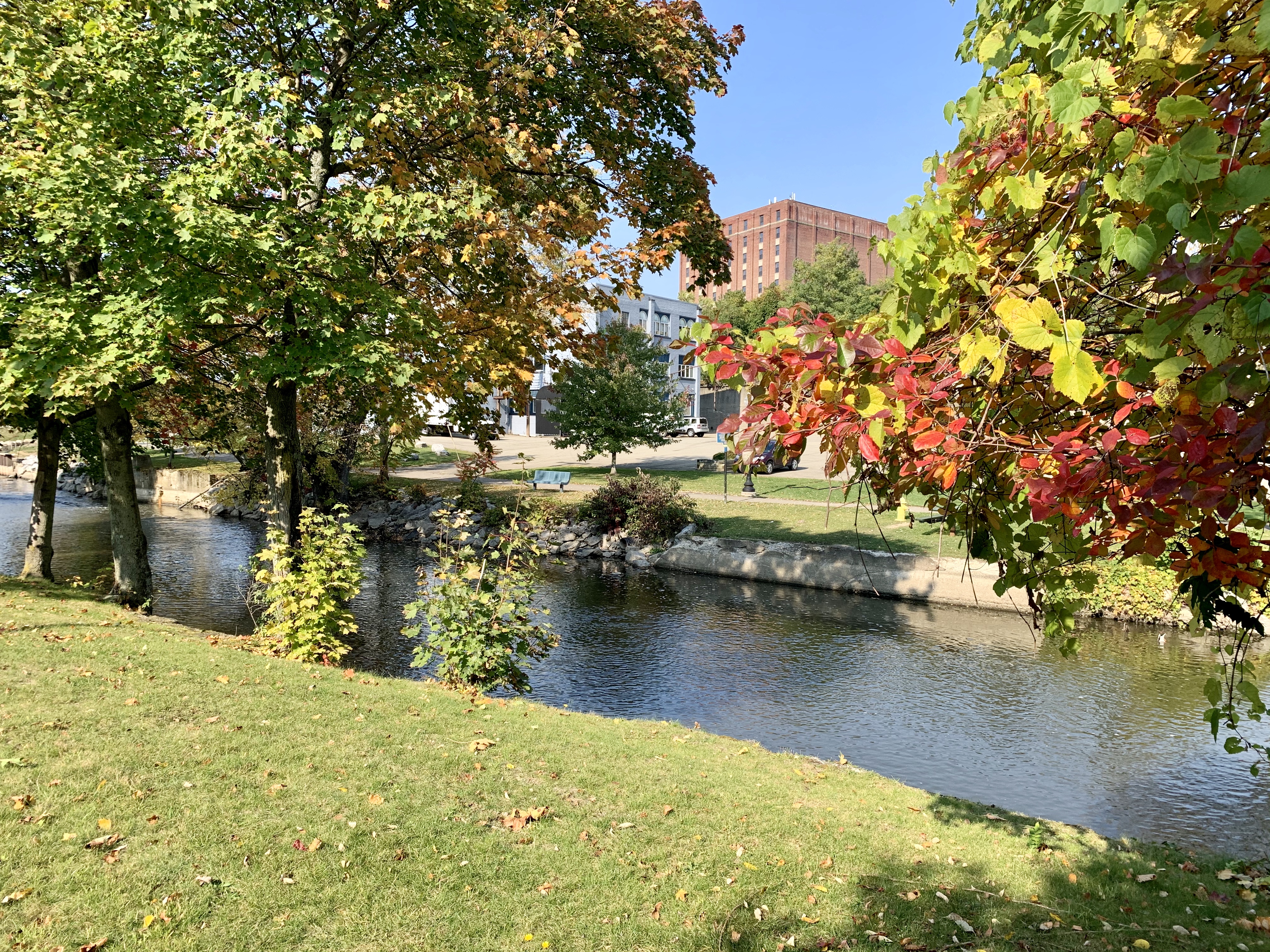 Trees along the Chadakoin River with colorful autumn foliage reflecting along a calm waterway, with downtown Jamestown buildings visible in the background.